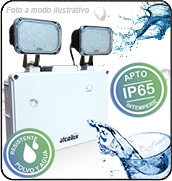 Click para ver detalles del producto